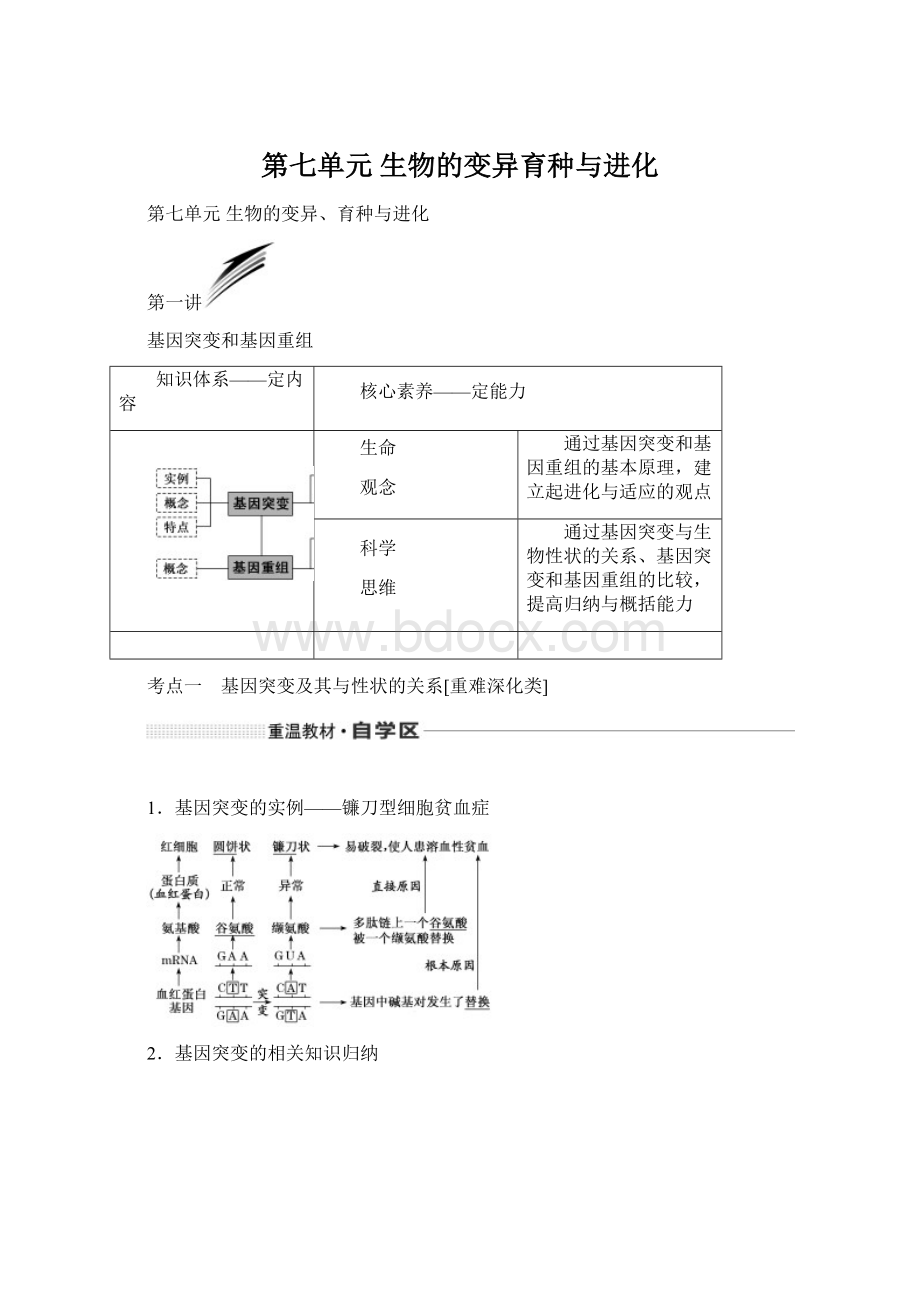 第七单元生物的变异育种与进化Word文件下载.docx_第1页