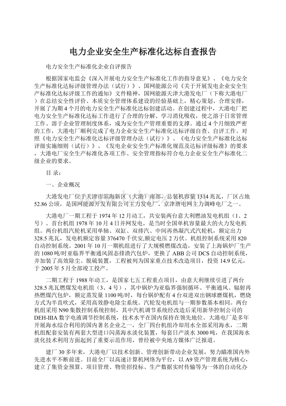 电力企业安全生产标准化达标自查报告.docx