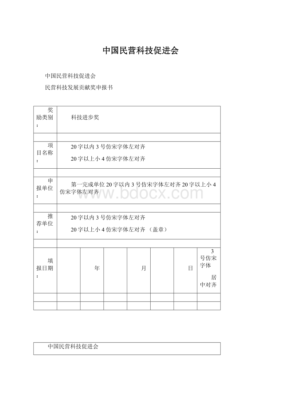 中国民营科技促进会Word格式文档下载.docx