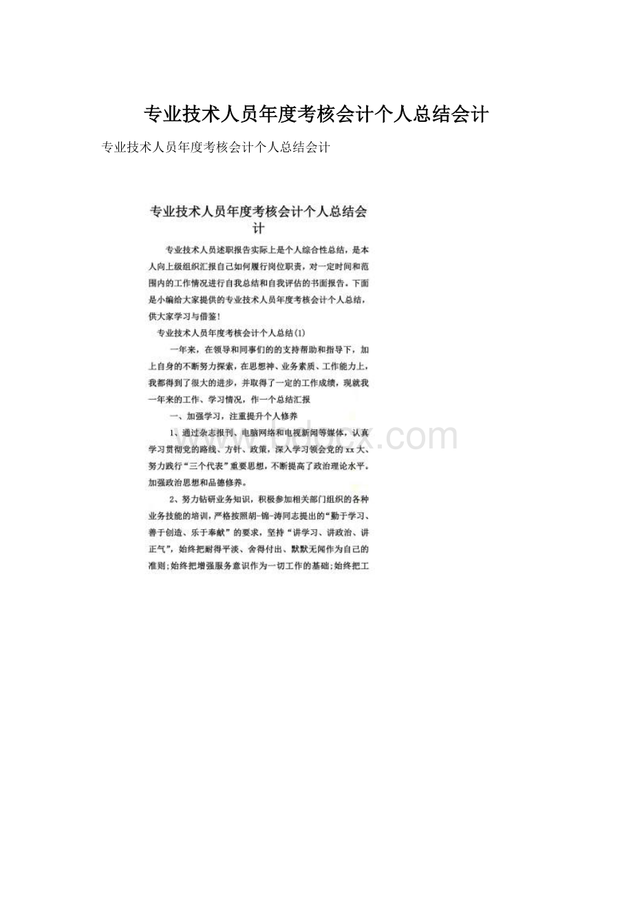 专业技术人员年度考核会计个人总结会计文档格式.docx