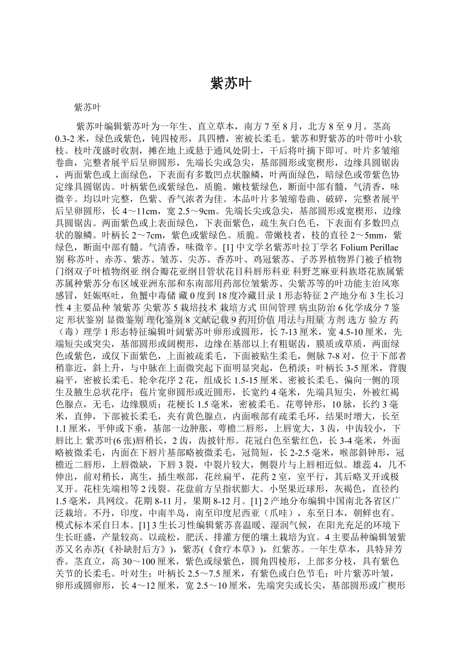 紫苏叶Word下载.docx_第1页