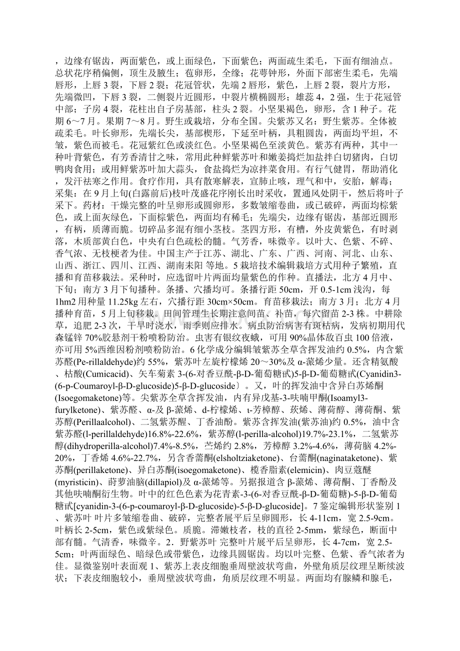 紫苏叶Word下载.docx_第2页