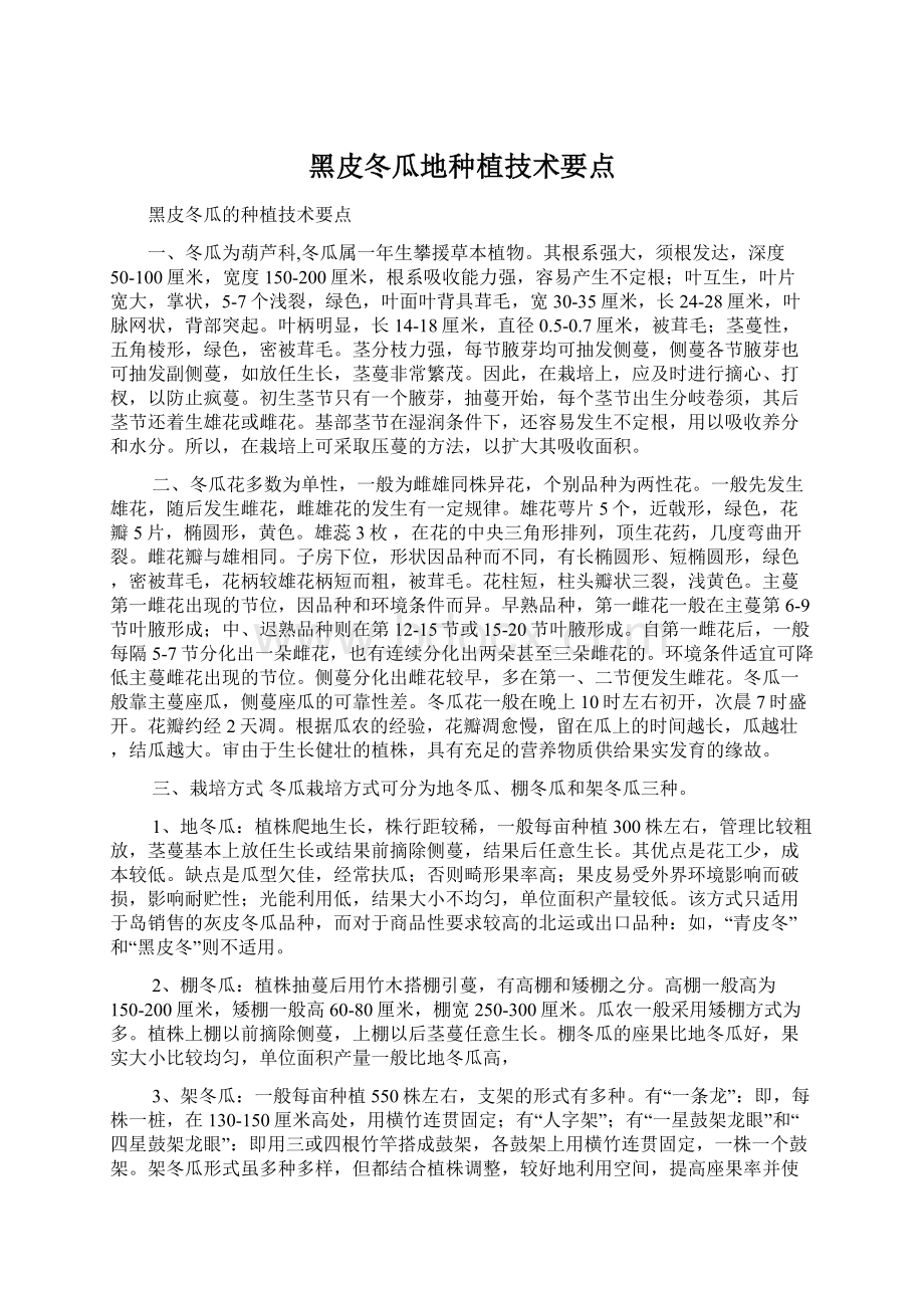 黑皮冬瓜地种植技术要点Word文档下载推荐.docx