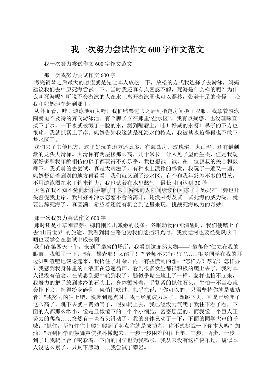 我一次努力尝试作文600字作文范文.docx