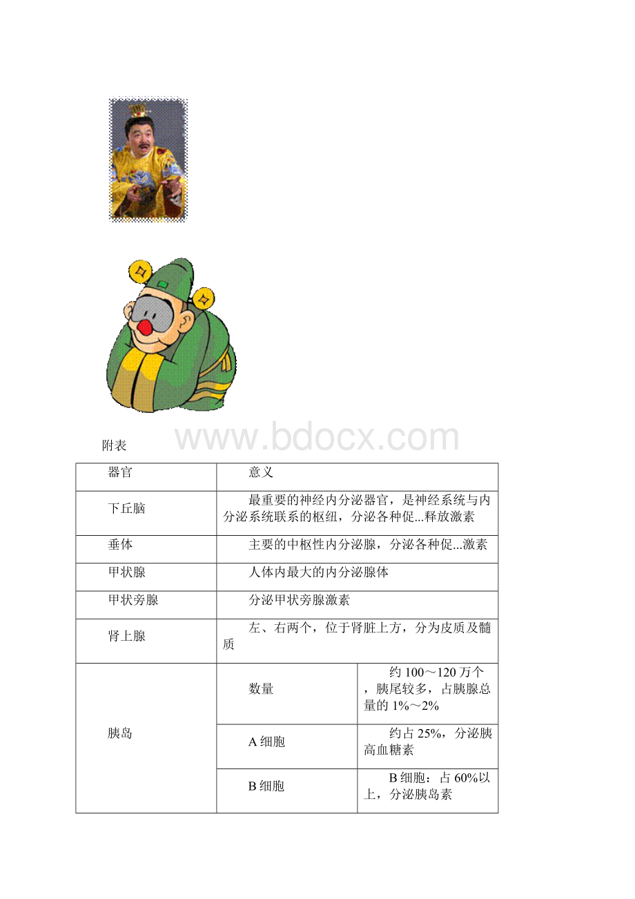 内分泌系统的解剖生理.docx_第2页