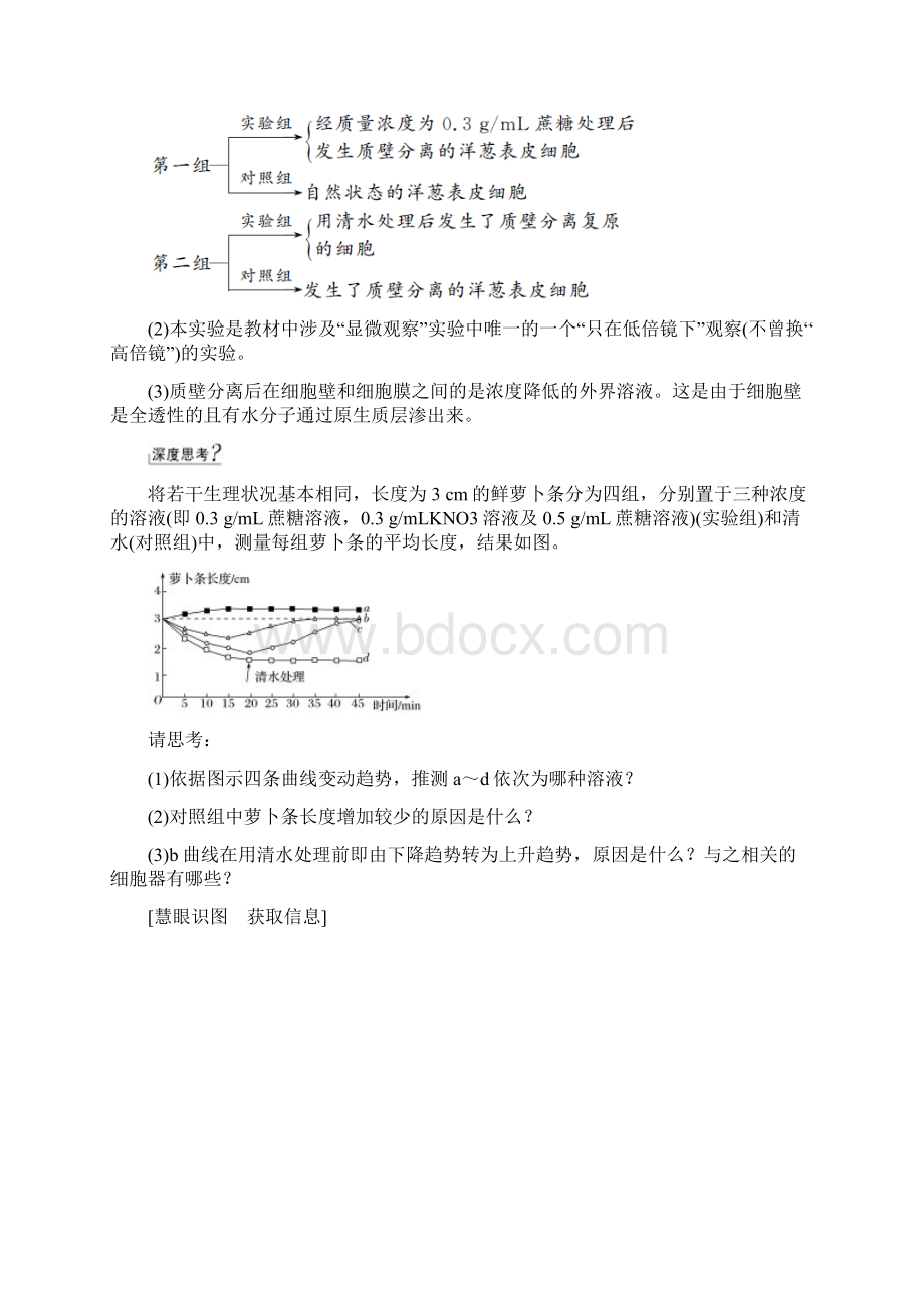 3mjt植物细胞质壁分离实验.docx_第2页