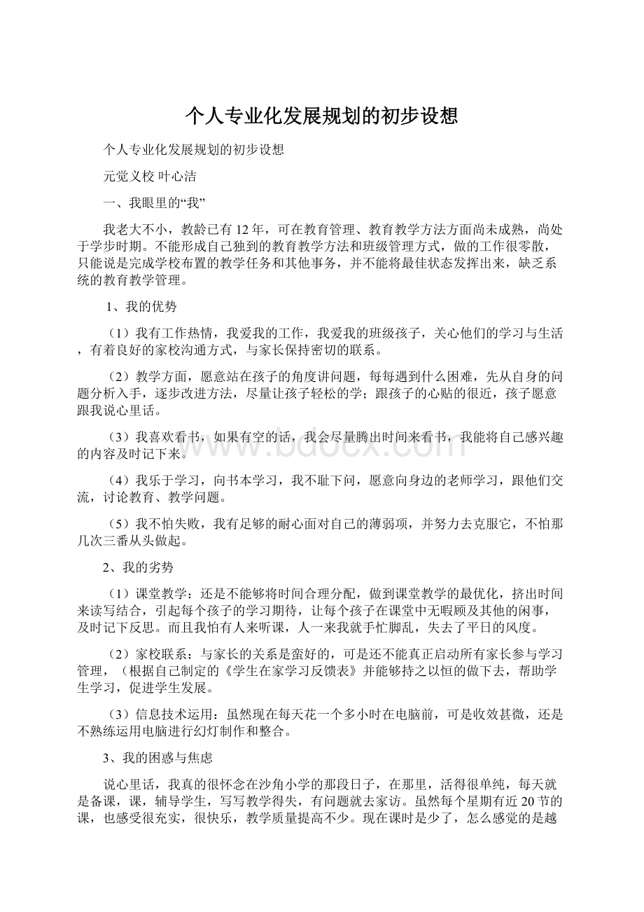 个人专业化发展规划的初步设想文档格式.docx