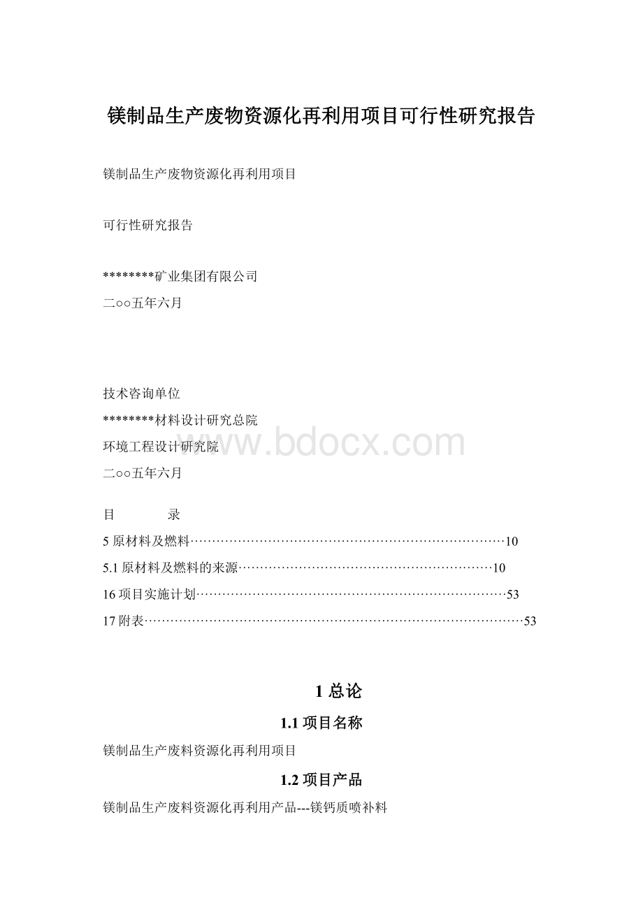 镁制品生产废物资源化再利用项目可行性研究报告.docx_第1页