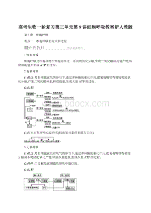 高考生物一轮复习第三单元第9讲细胞呼吸教案新人教版.docx
