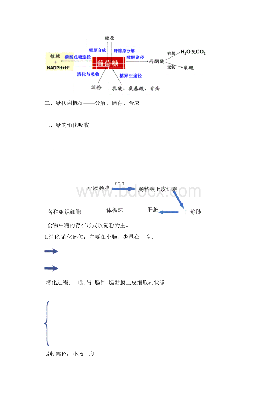 完整版生物化学糖代谢知识点总结.docx_第3页