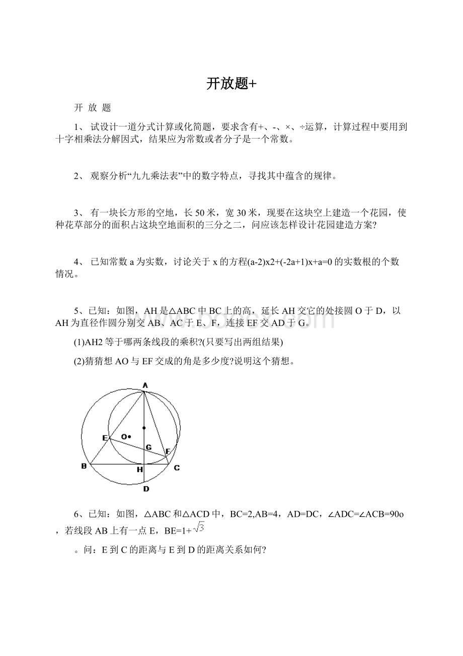 开放题+.docx_第1页