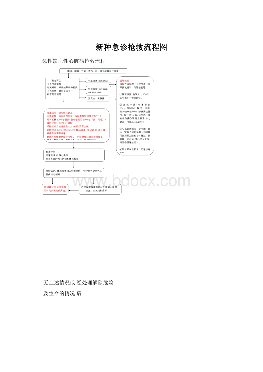 新种急诊抢救流程图文档格式.docx