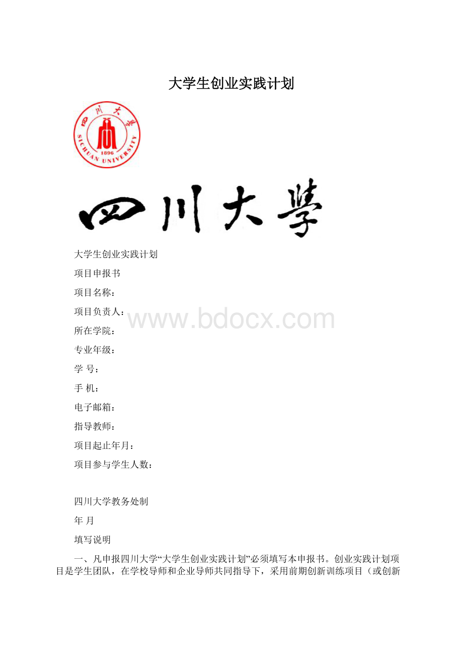 大学生创业实践计划Word文档下载推荐.docx