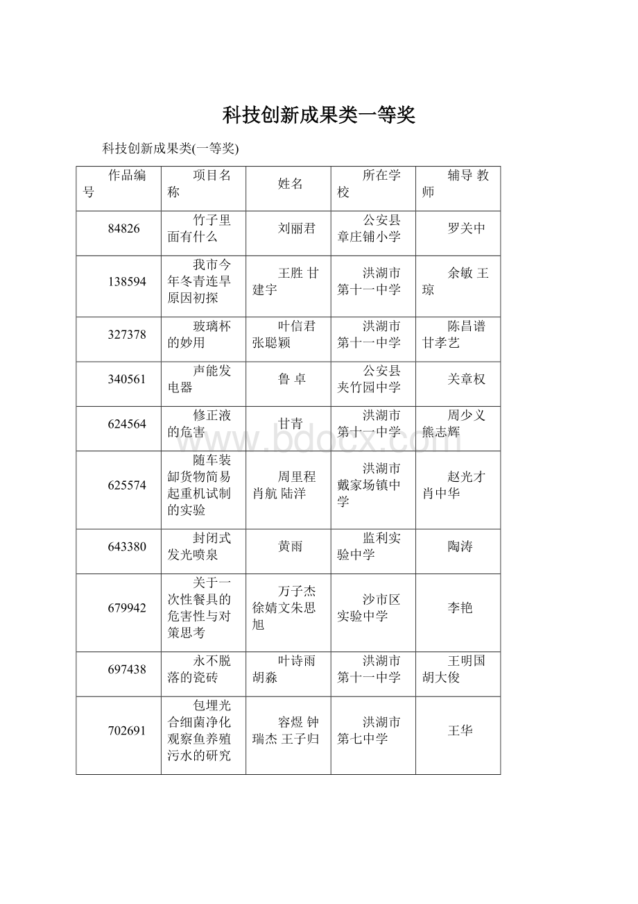 科技创新成果类一等奖文档格式.docx