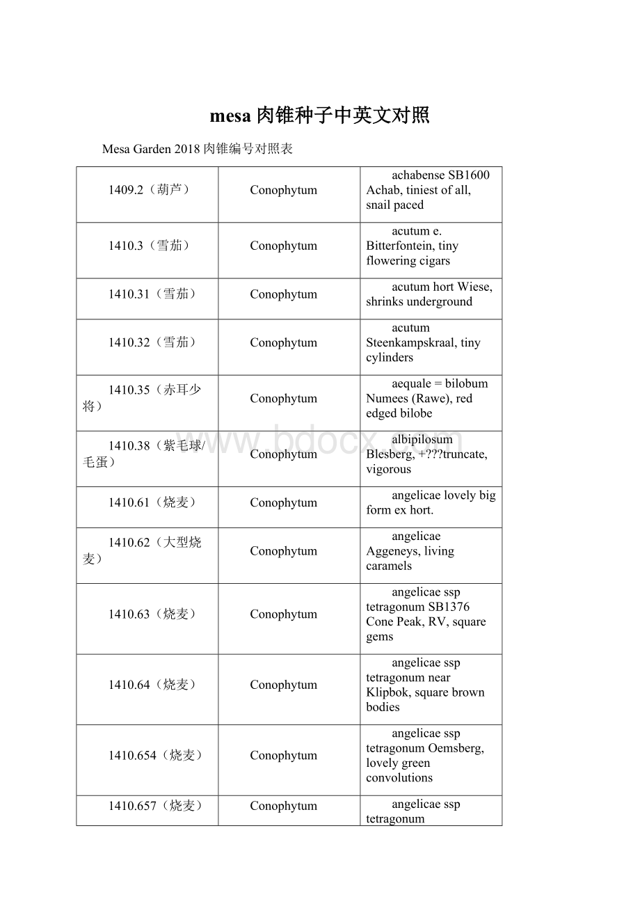 mesa肉锥种子中英文对照Word文档格式.docx