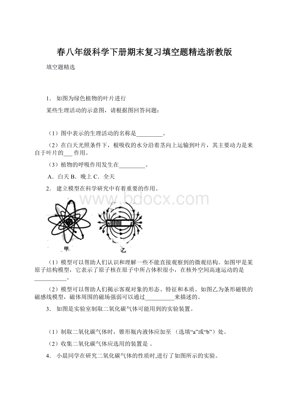 春八年级科学下册期末复习填空题精选浙教版.docx