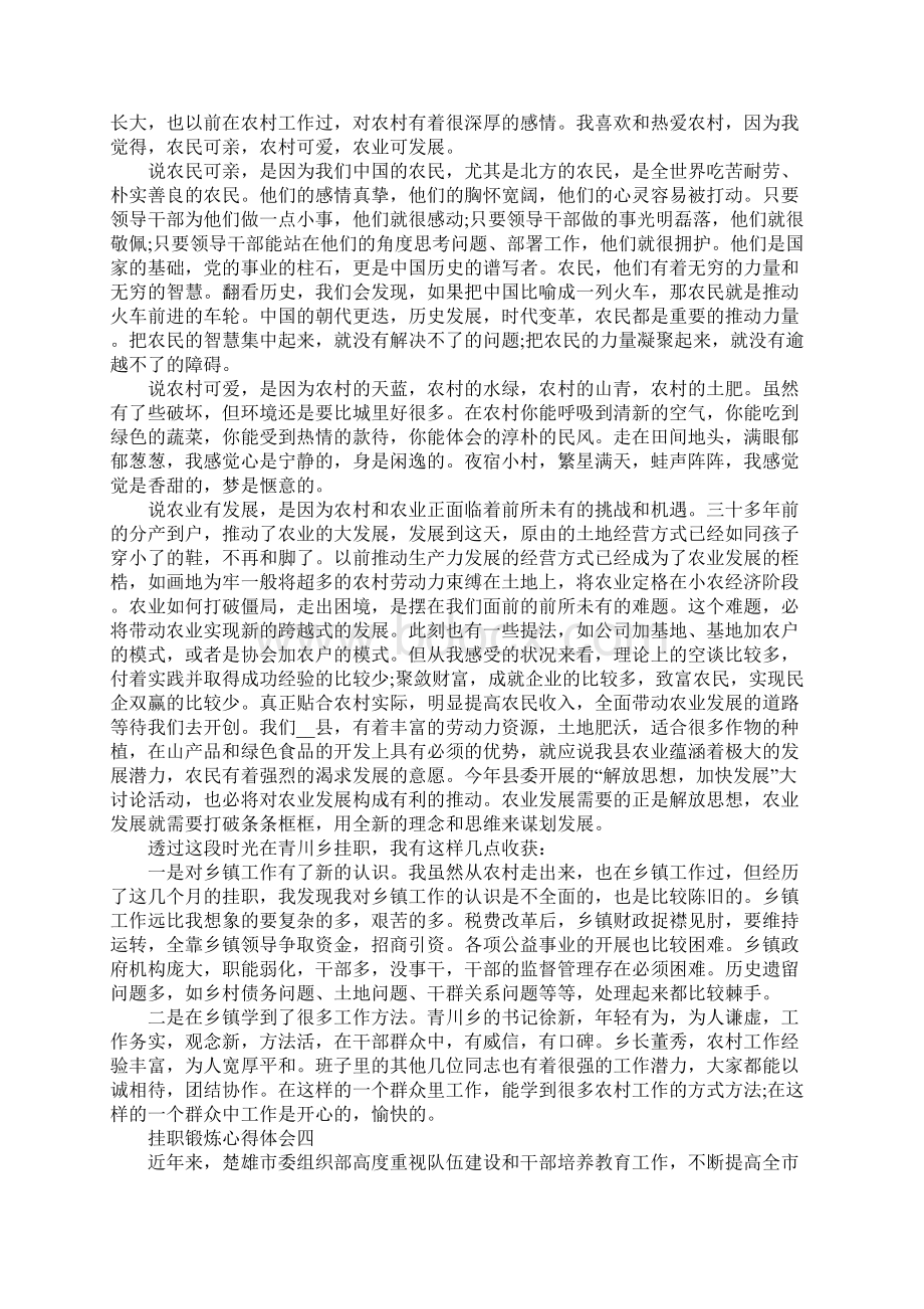 挂职锻炼心得体会5篇Word格式.docx_第3页