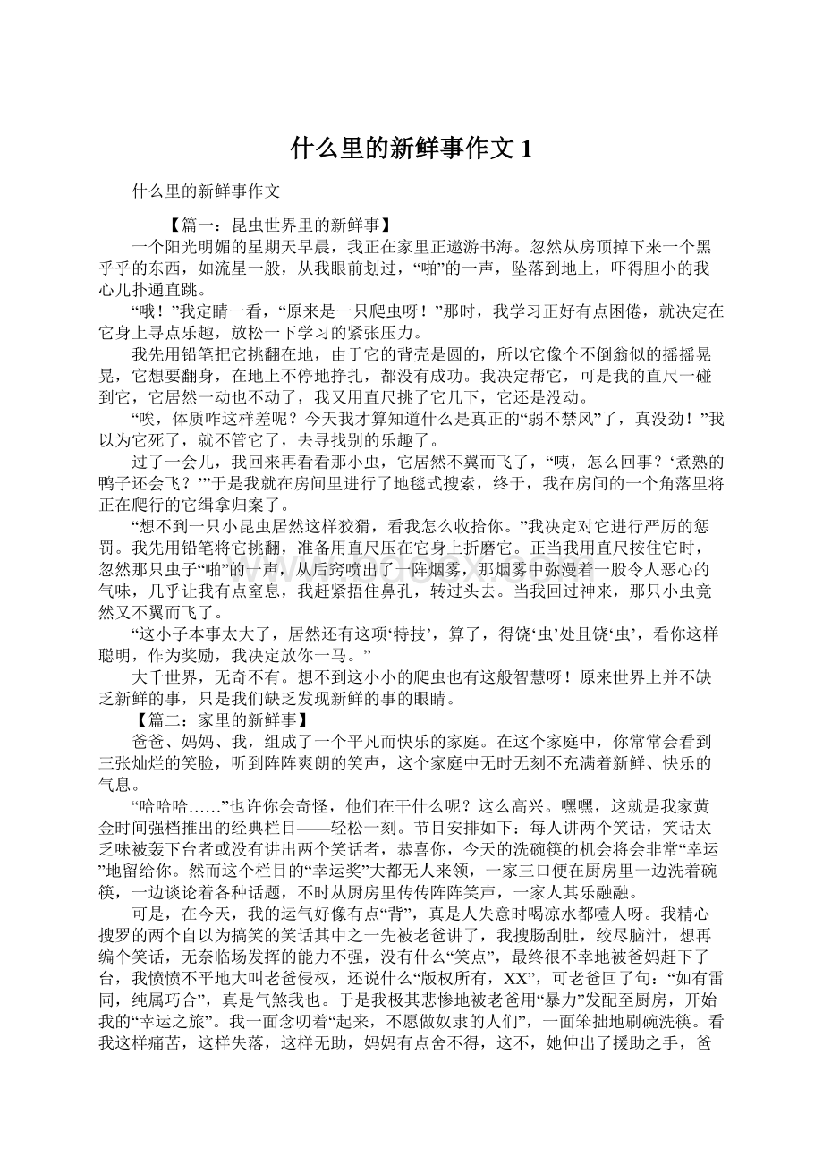 什么里的新鲜事作文1.docx