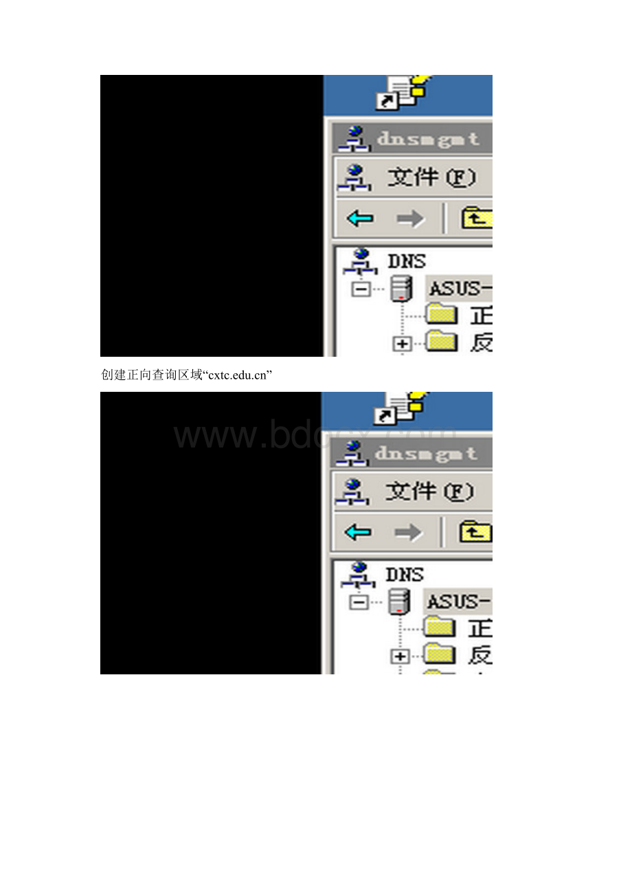 实验四 DNS 服务.docx_第2页