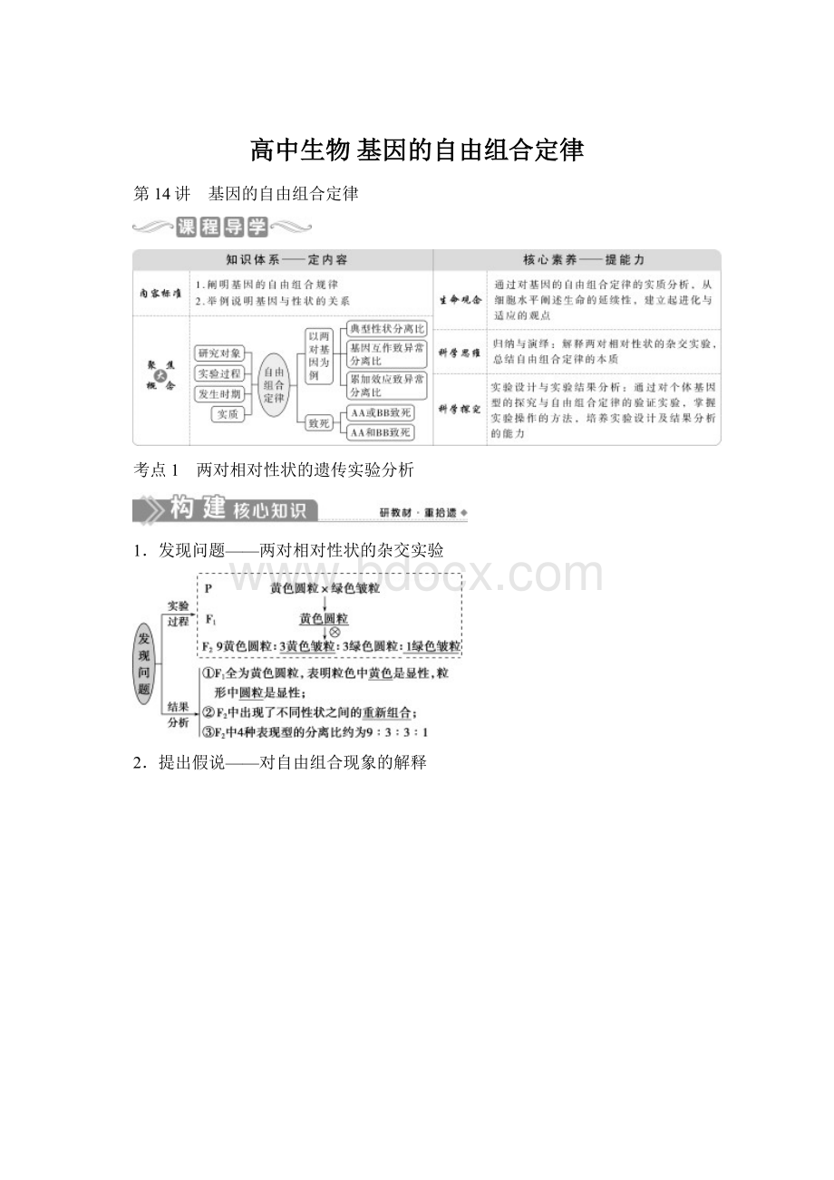 高中生物 基因的自由组合定律.docx_第1页