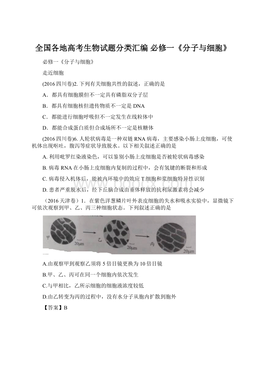 全国各地高考生物试题分类汇编 必修一《分子与细胞》Word格式.docx_第1页