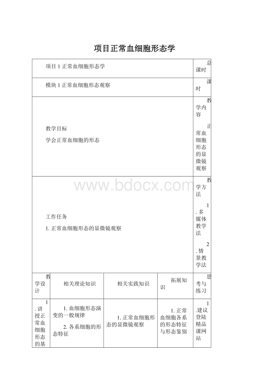 项目正常血细胞形态学.docx