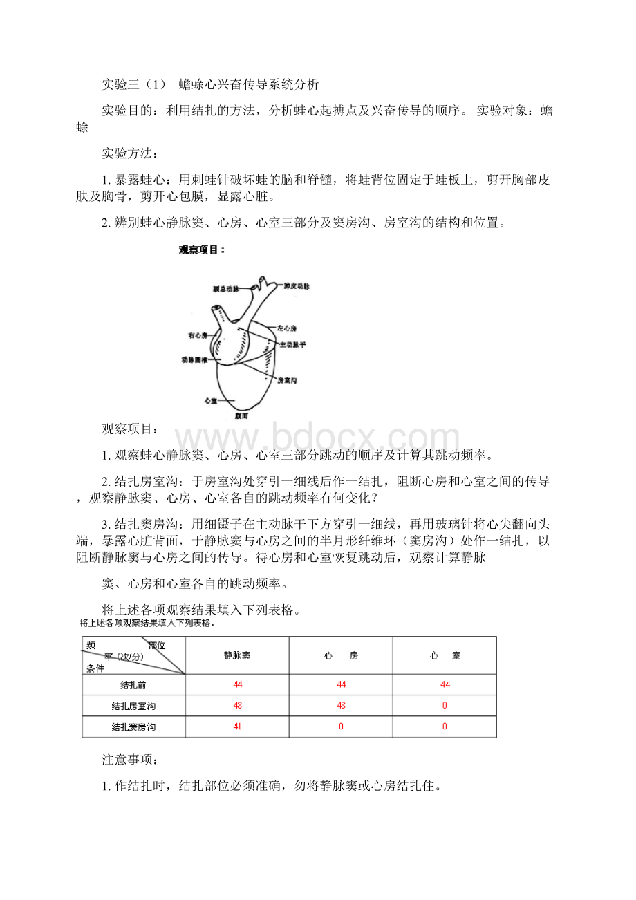 生理实验分析.docx_第3页