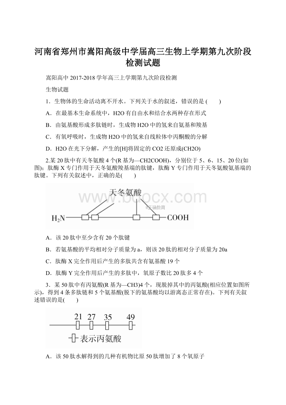 河南省郑州市嵩阳高级中学届高三生物上学期第九次阶段检测试题.docx_第1页