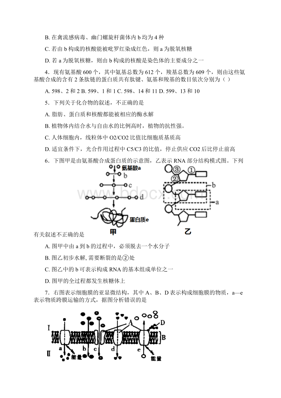 1718学年下学期高二开学考试生物试题附答案Word文档下载推荐.docx_第2页