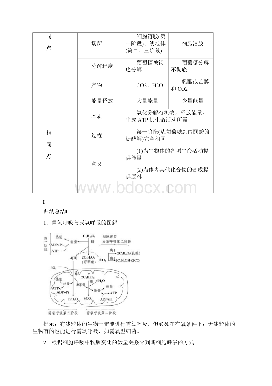 高中生物第三章细胞的代谢第四节细胞呼吸第2课时学案浙科版120.docx_第2页