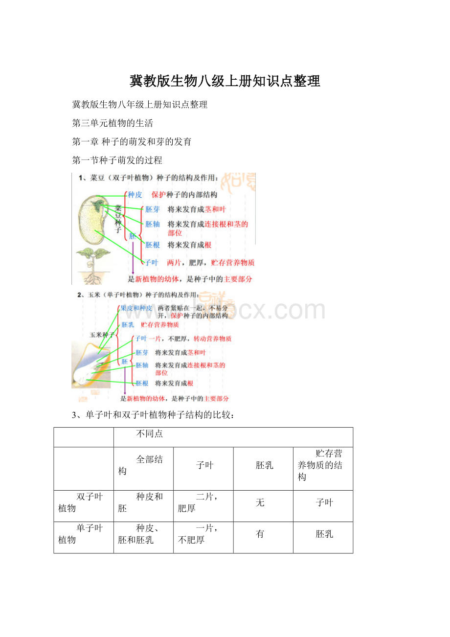 冀教版生物八级上册知识点整理Word格式文档下载.docx