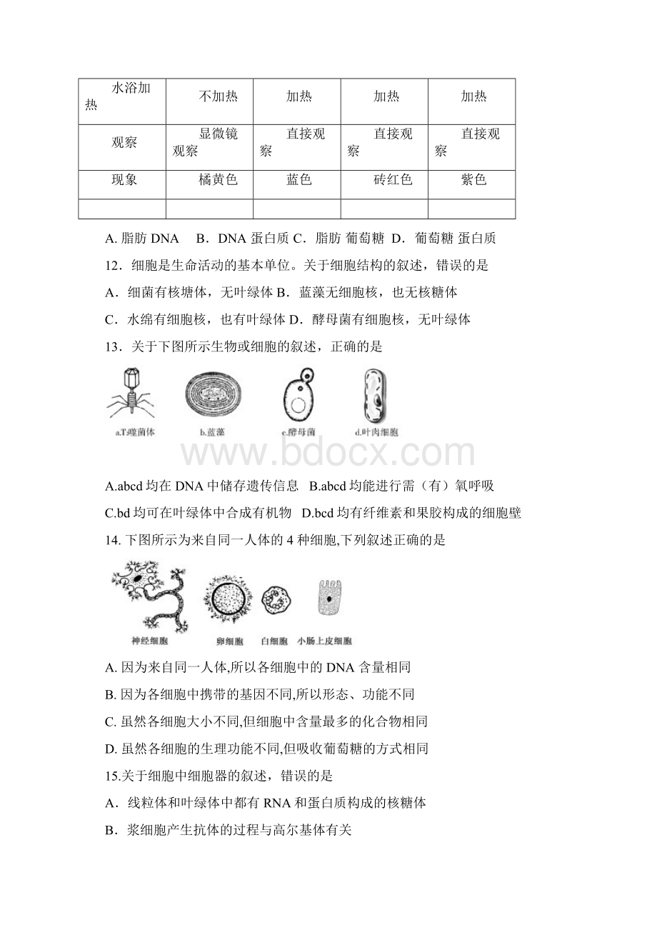 北师大四附中高三生物测试KEY.docx_第3页