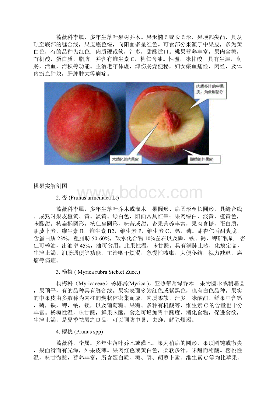 常见水果果实食用部分.docx_第3页