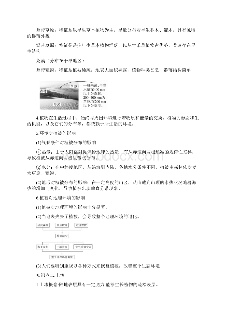 备战高考地理复习精讲精练专题09 植被与土壤原卷版Word格式.docx_第2页