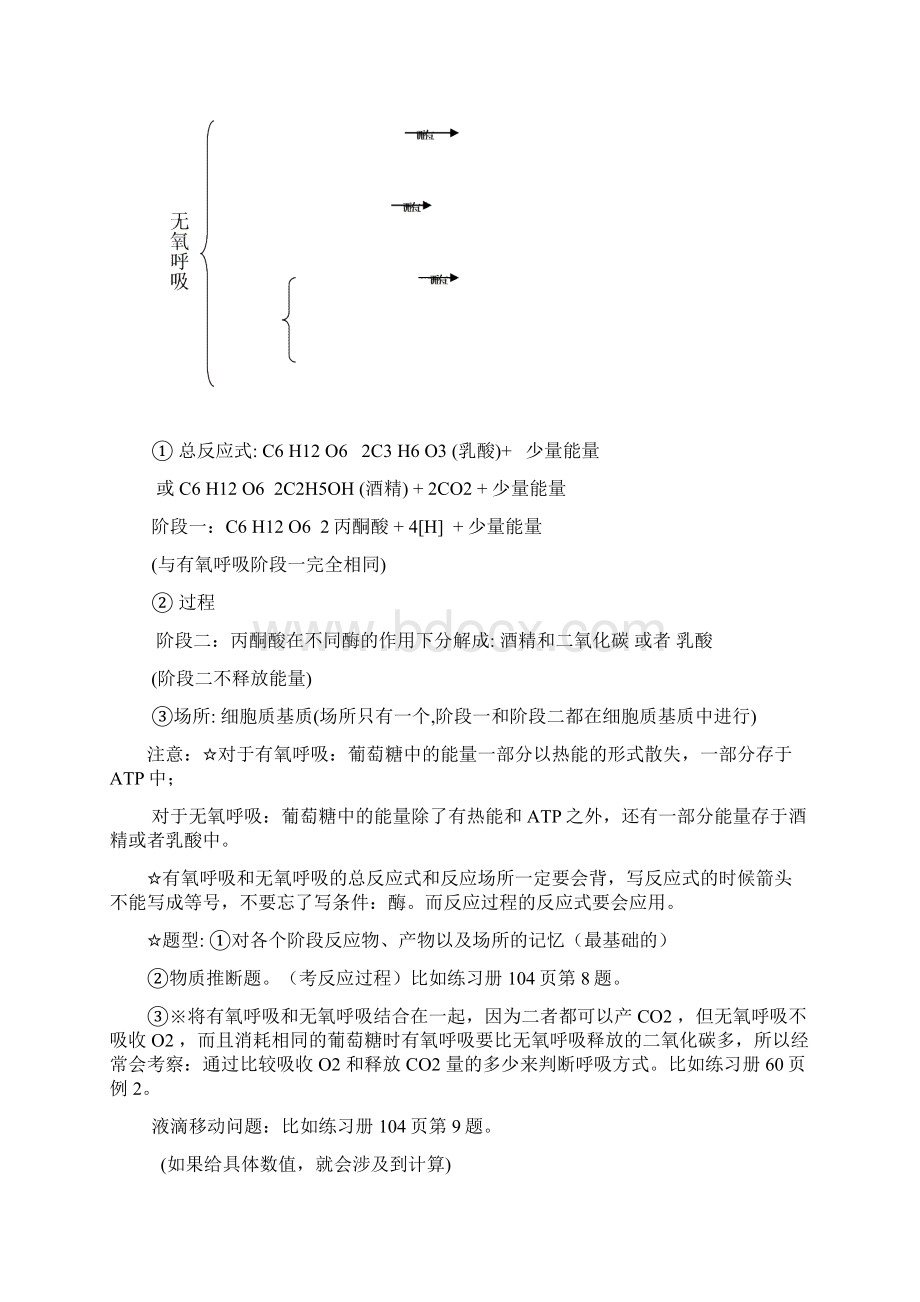 光合与呼吸知识点总结Word文件下载.docx_第2页