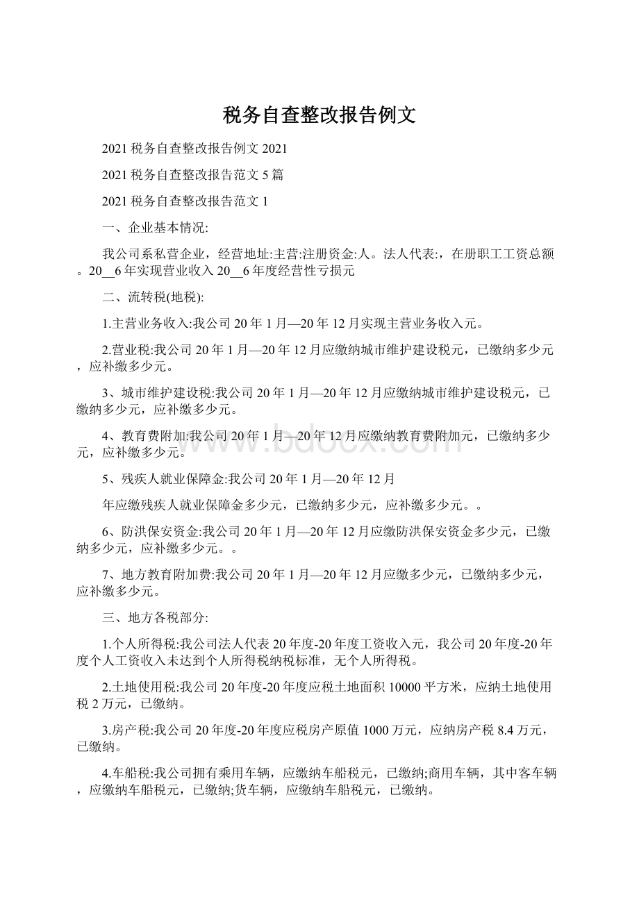 税务自查整改报告例文文档格式.docx