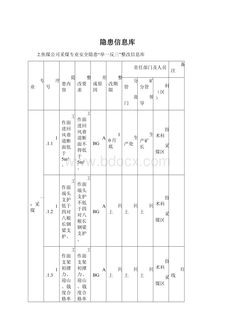 隐患信息库Word格式文档下载.docx