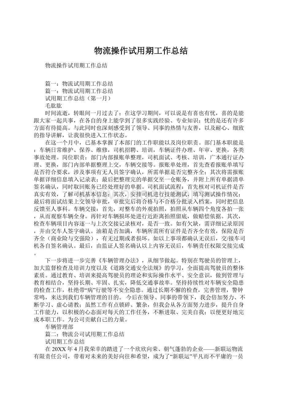 物流操作试用期工作总结Word下载.docx