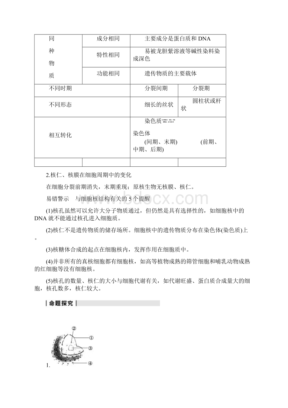 细胞核系统的控制中心Word下载.docx_第3页