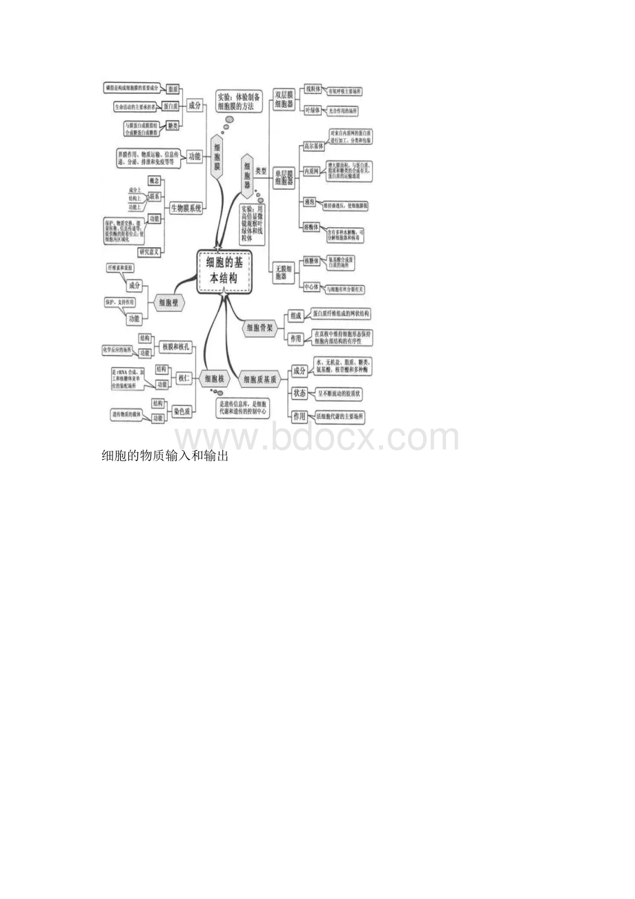 高中生物思维导图文档格式.docx_第2页