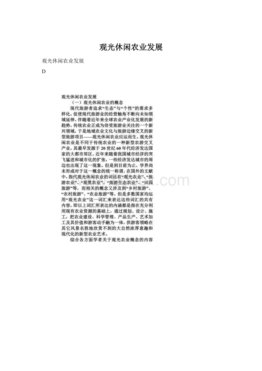 观光休闲农业发展Word格式.docx