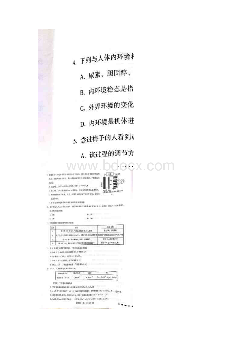 云南省师范大学附属中学高三第七次月考理科综合试题 扫描版含答案文档格式.docx_第2页