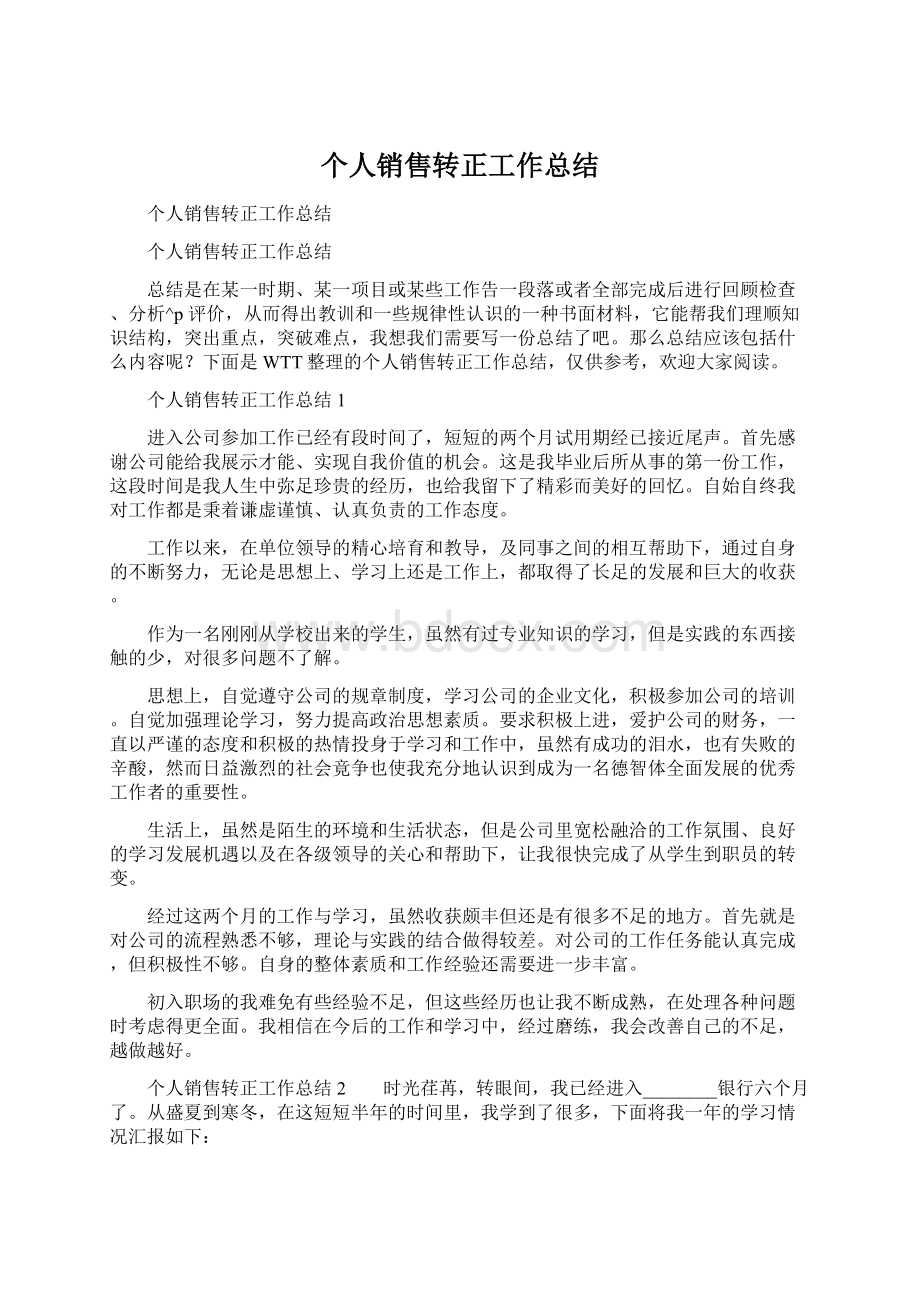 个人销售转正工作总结Word下载.docx