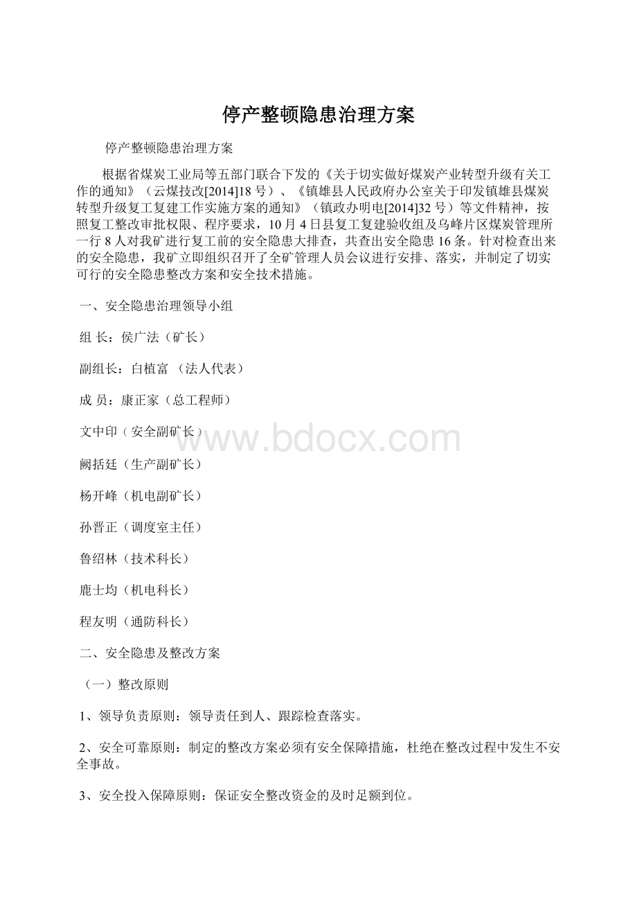 停产整顿隐患治理方案文档格式.docx