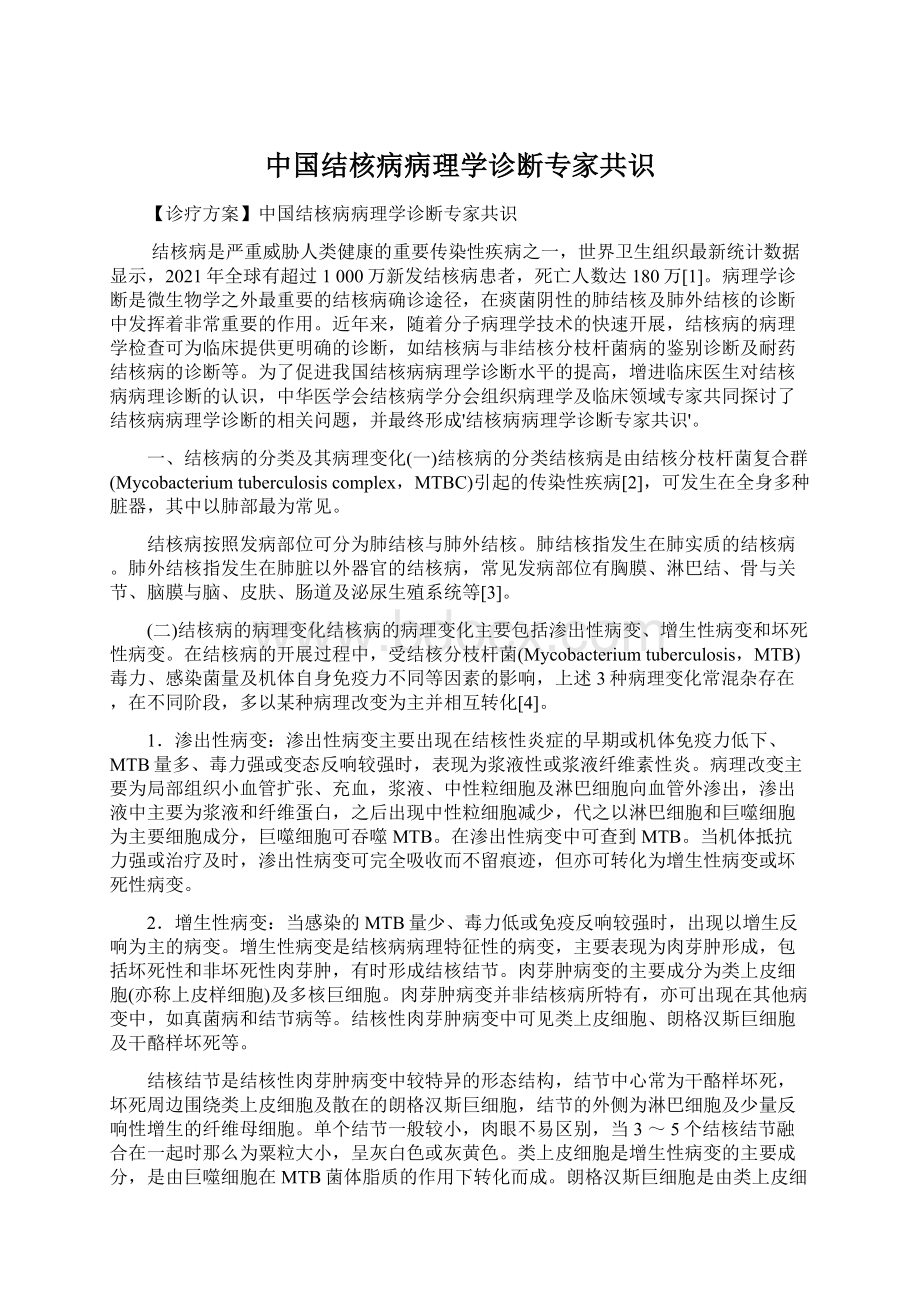 中国结核病病理学诊断专家共识Word文档下载推荐.docx