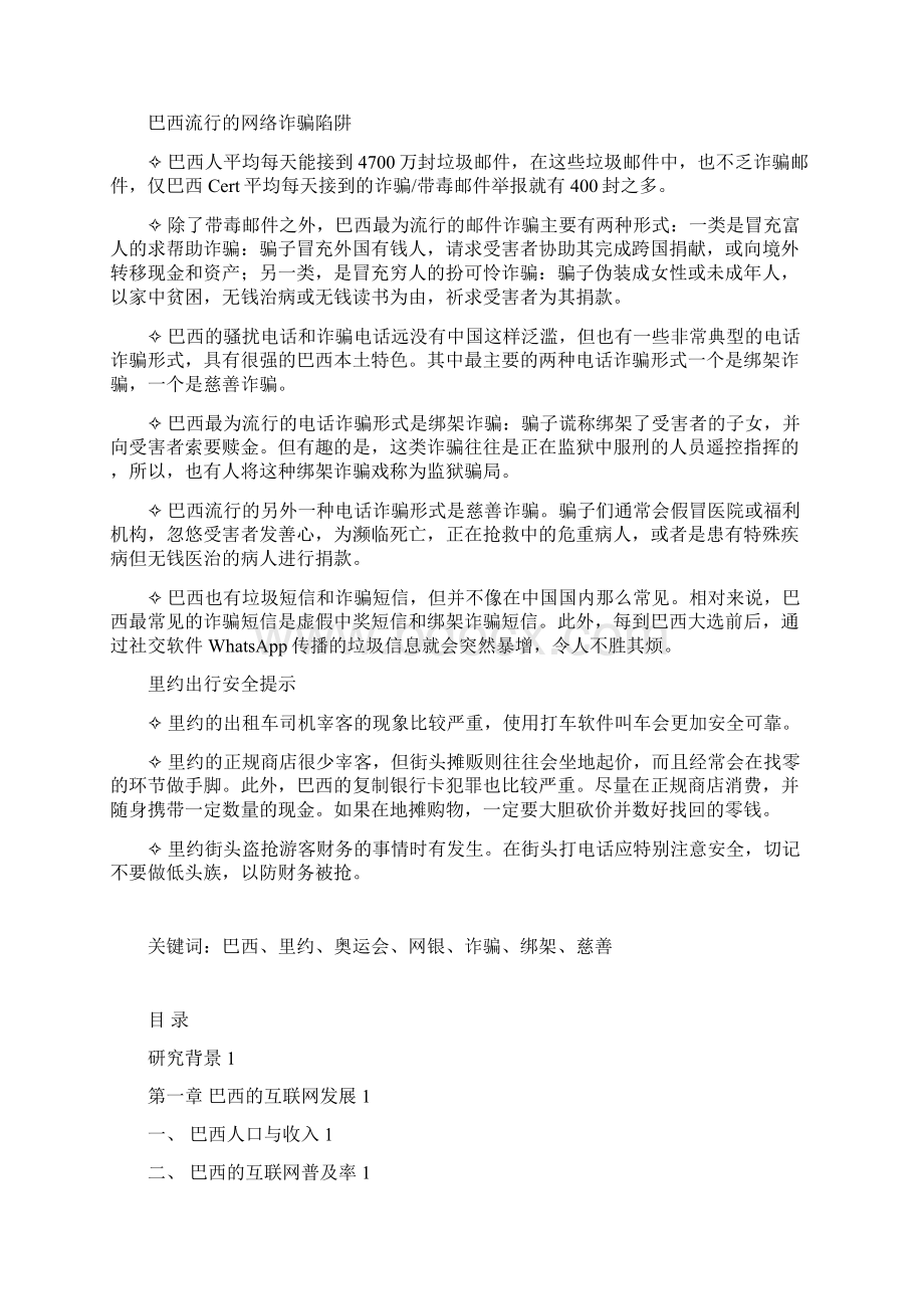 巴西网络生活与安全研究.docx_第2页