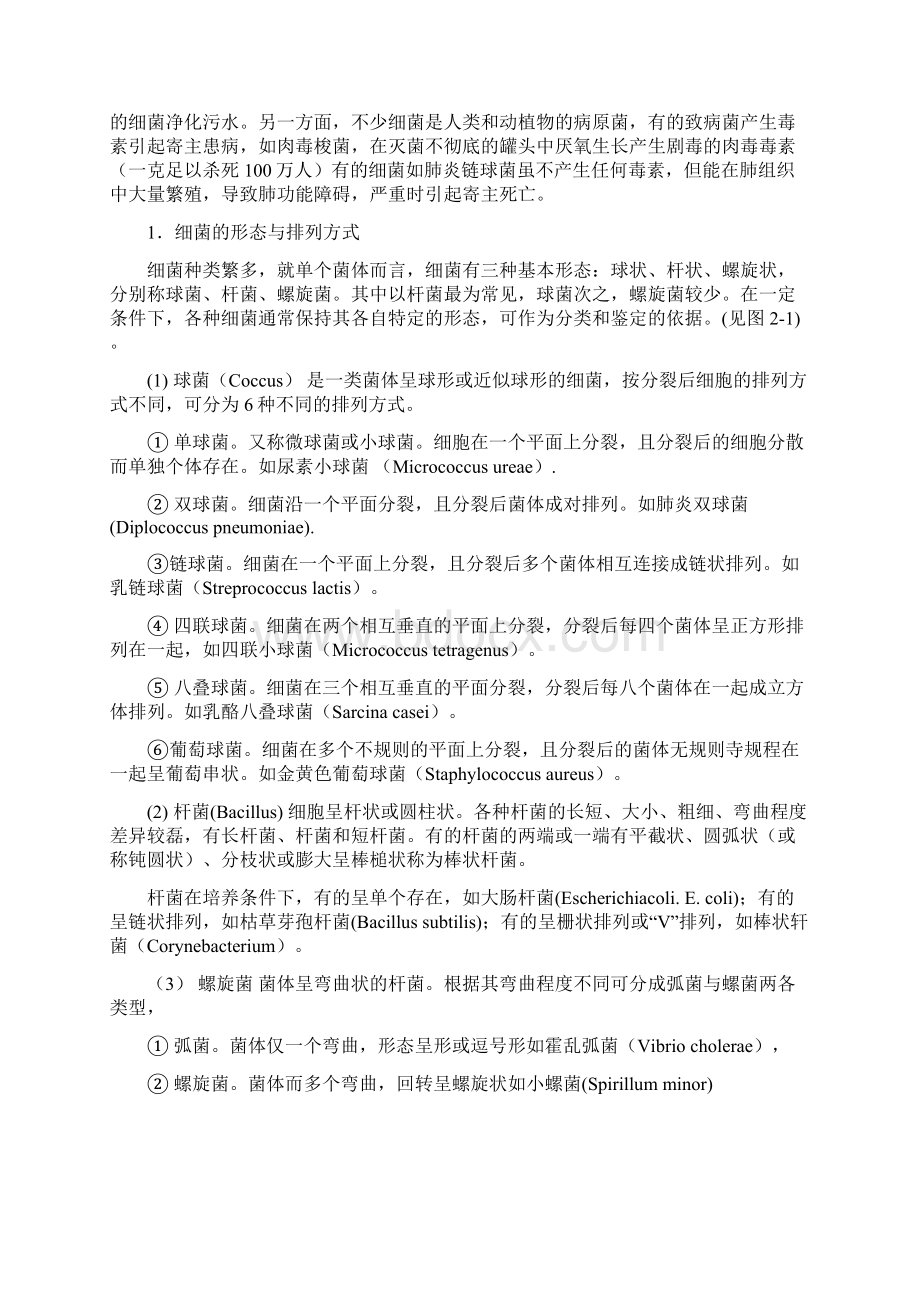 模块一微生物的主要类群Word下载.docx_第2页