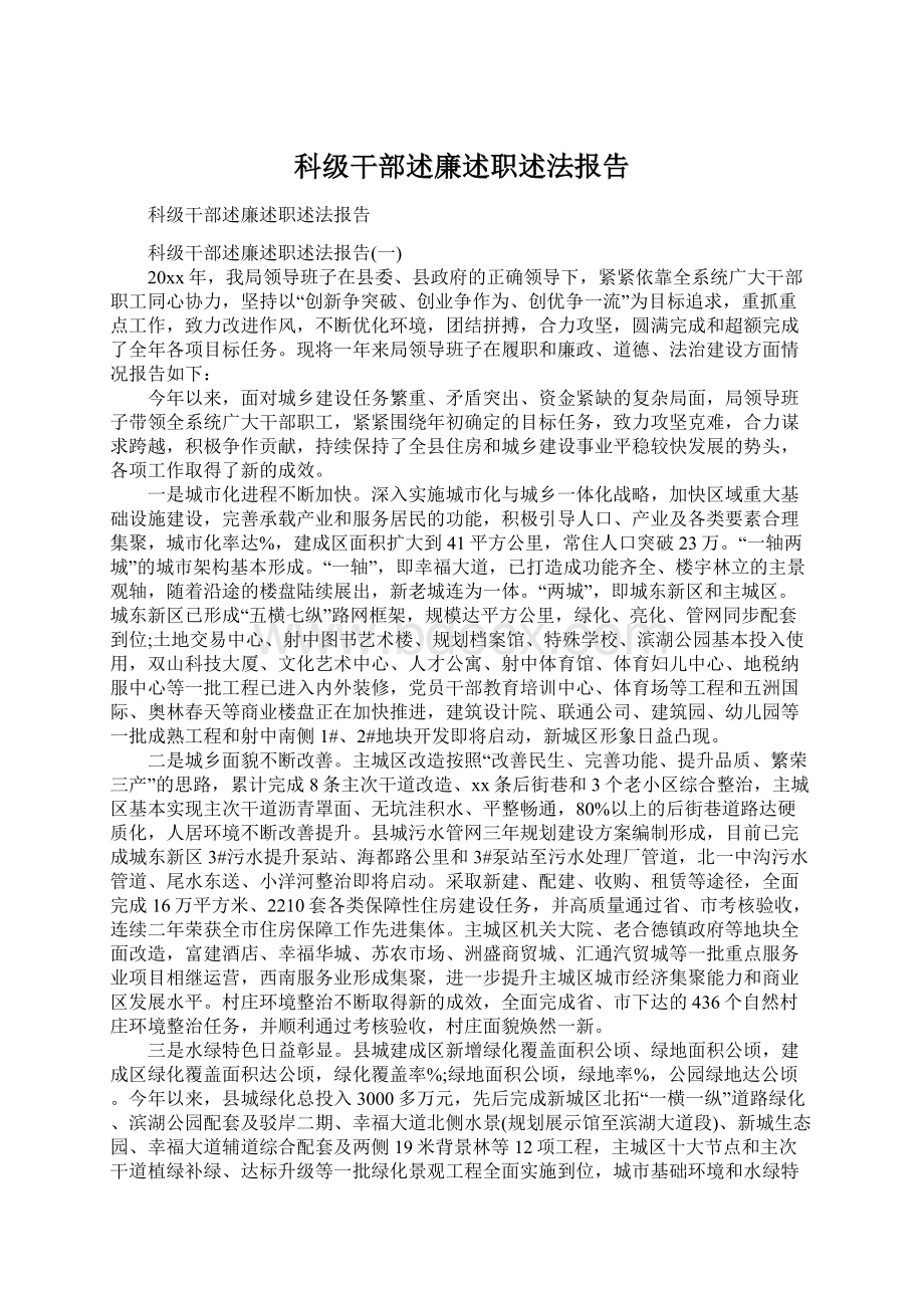 科级干部述廉述职述法报告Word文档格式.docx