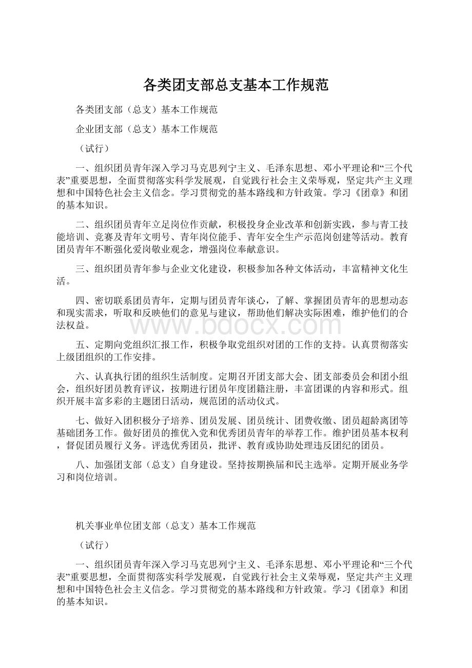 各类团支部总支基本工作规范.docx