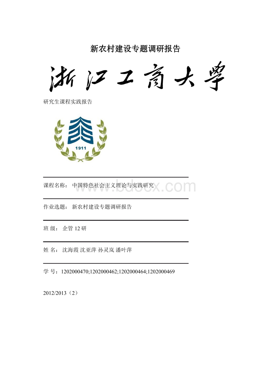 新农村建设专题调研报告.docx